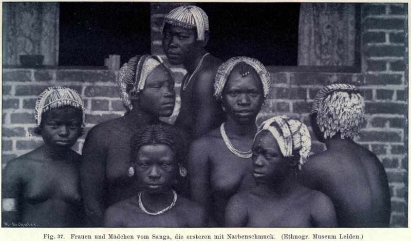 037. Frauen und Mädchen vom Sanga, die ersteren mit Narbenschmuck