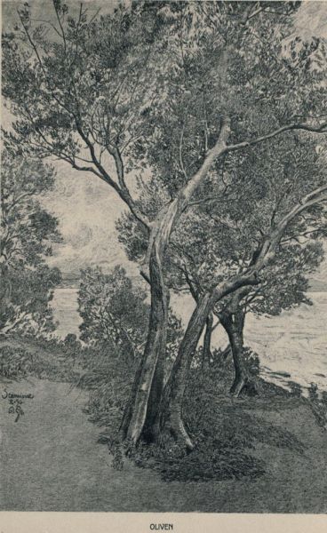 Oliven — Pastellierte Zeichnung München, Sammlung Wilh. Weigand 