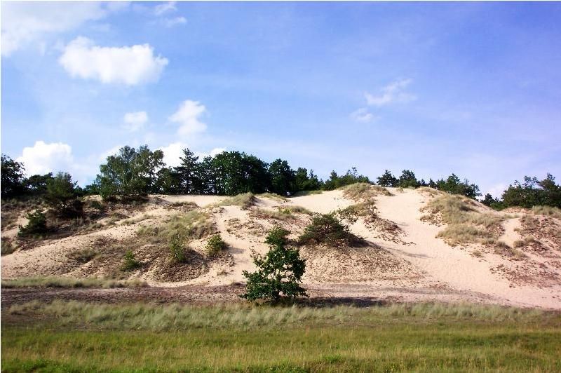 Griese Gegend, Binnenlanddüne an der Elbe bei Dömitz (Chpagenkopf)