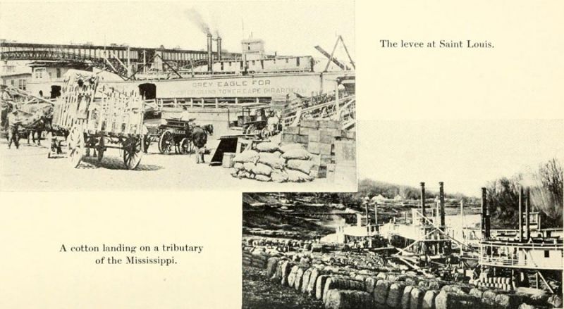 15. The levee at Saint Louis. A cotton landing on a tributary of the Mississippi. 