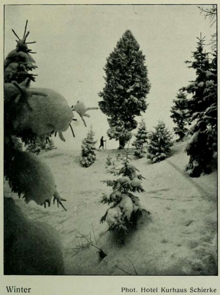 02 Winter Phot. Hotel Kurhaus Schierke