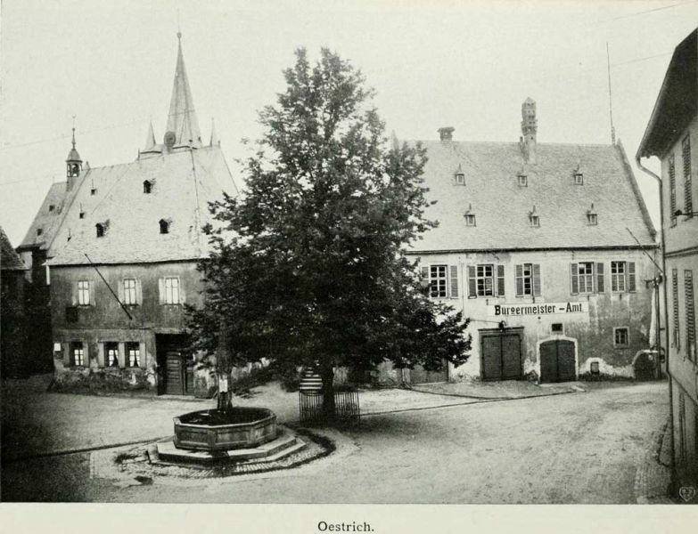 Tafel 66 Oestrich