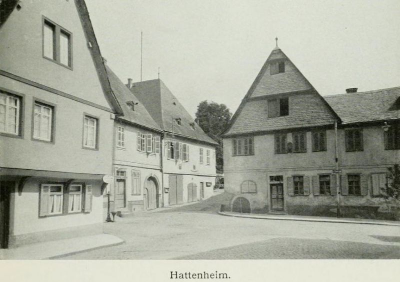 Tafel 69a Hattenheim