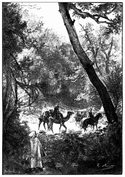 012a Weiter ging es längs des Waldes von Djeffra-Cheraga hin.