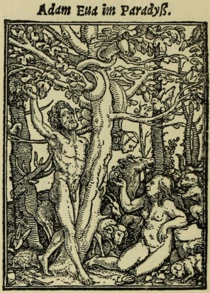 02. Der Sündenfall
