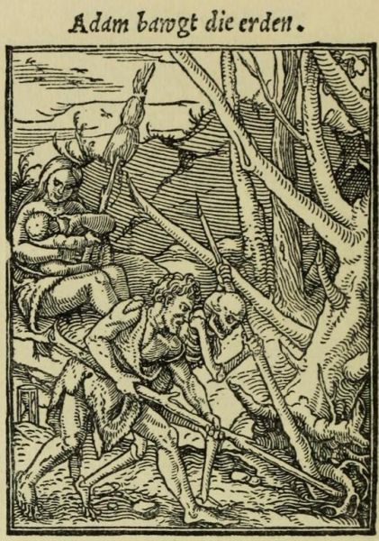 04. Adam bebaut die Erde