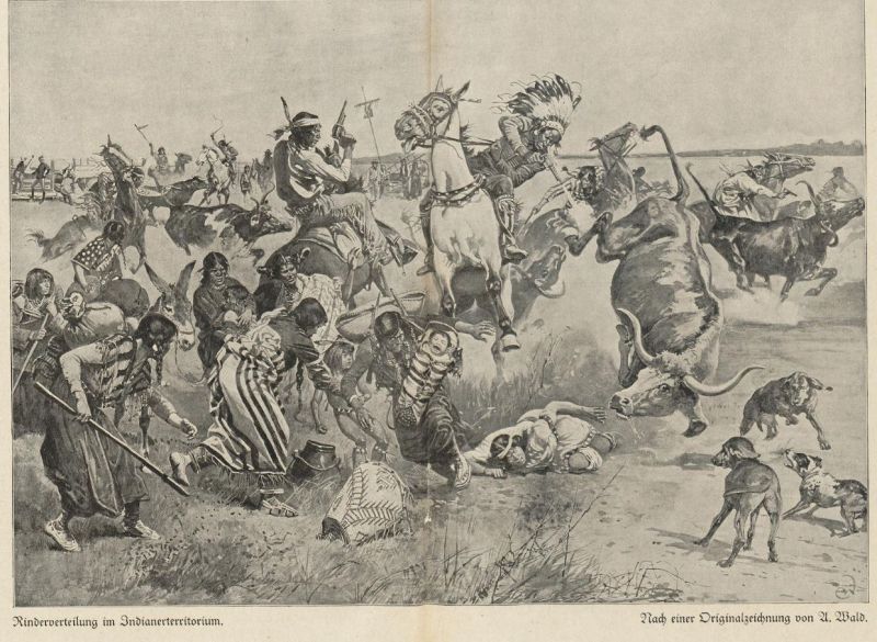 Indianer, Rinderverteilung im Indianerterritorium