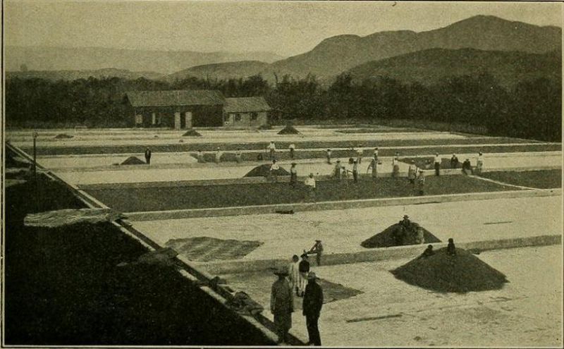 Trocknen des Rohkaffees in Costa Rica