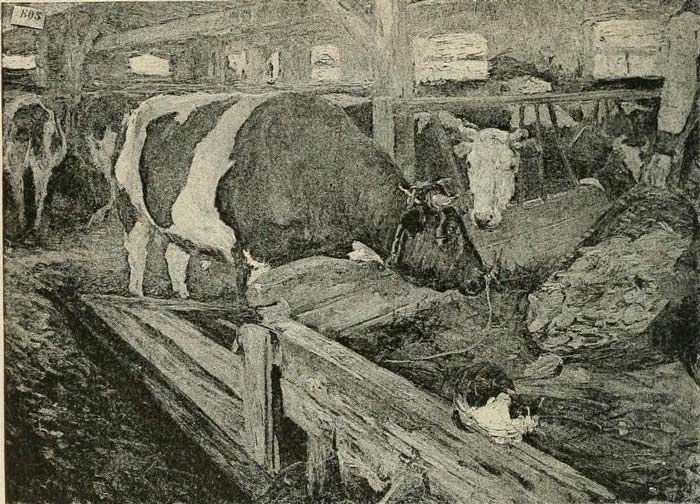 Kühe im Stall