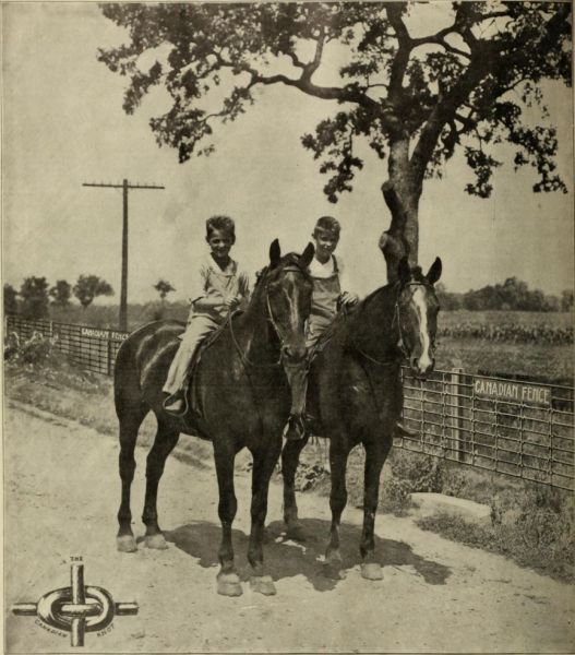 Reiter, Landjugend