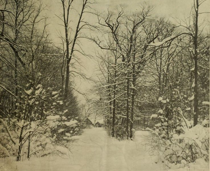 Winter auf dem Land