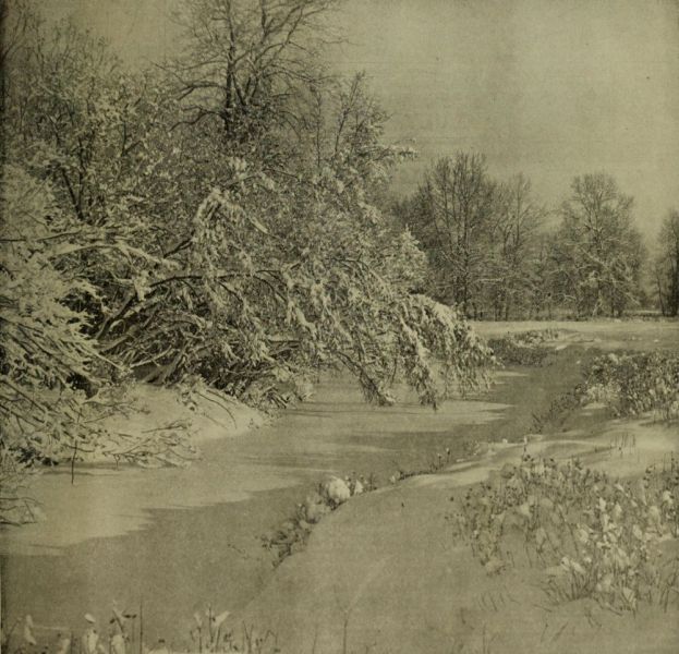 Winter auf dem Land (2)