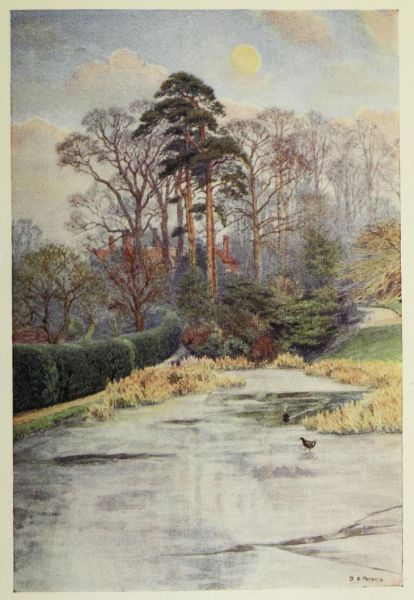 London, in Golders Hill Park