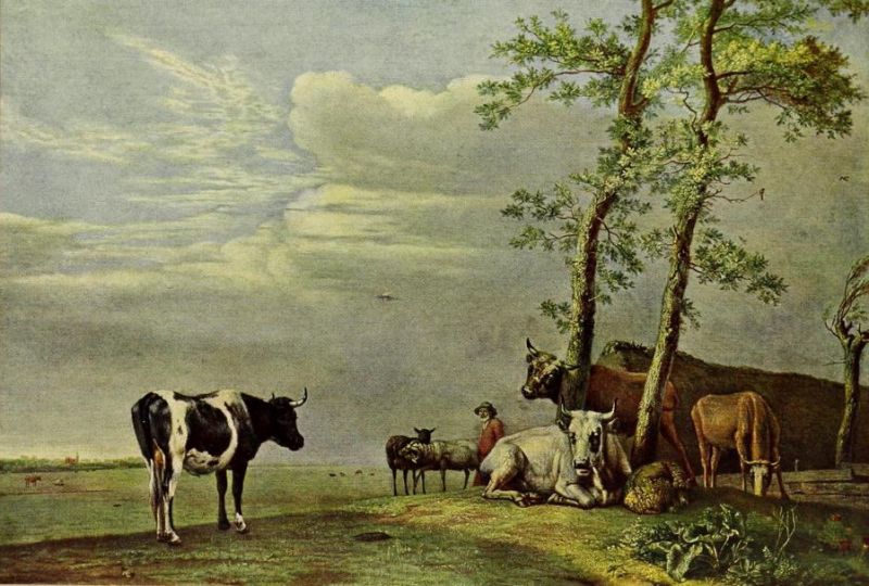 035. PAUL POTTER, Kühe auf der Weide 