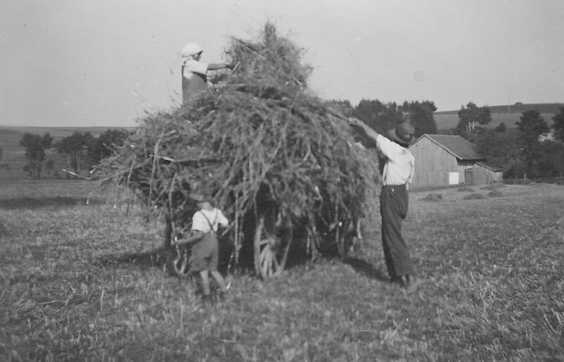 Bei der Feldarbeit