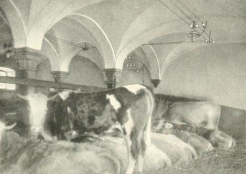 Kuhstall
