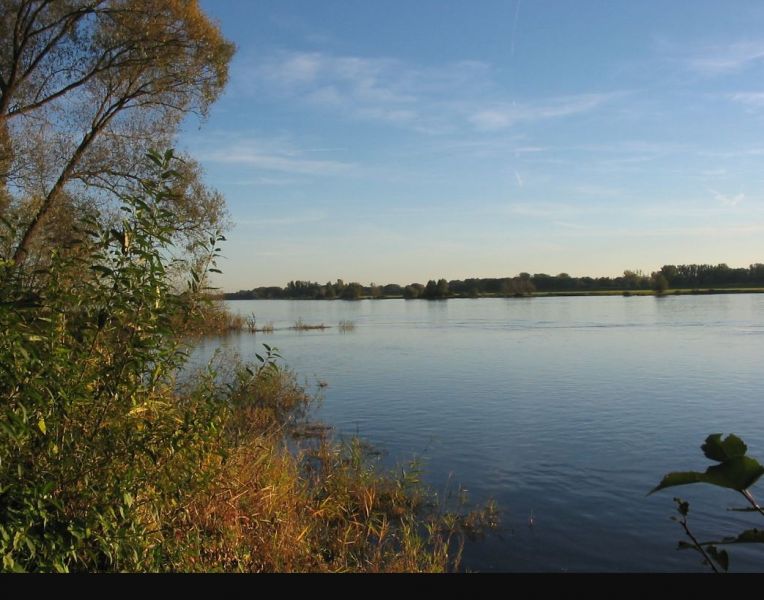 Elde bei Rüterberg
