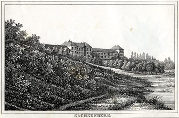Sachsenberg.