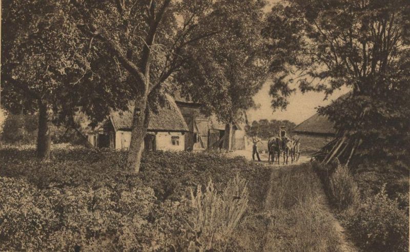 Boltenhagen - Bauernhof hinter Villa Reese