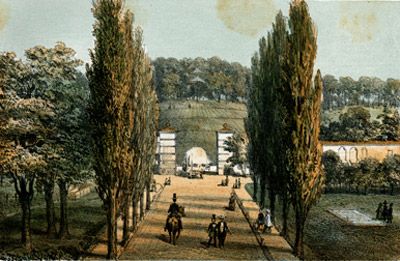 Blick auf den Buchenberg zu Doberan.
