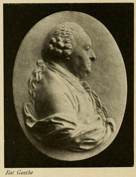 134. Rat Goethe