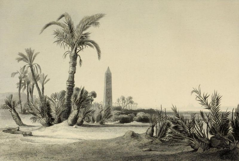 008. Obelisk von On (Heliopolis)