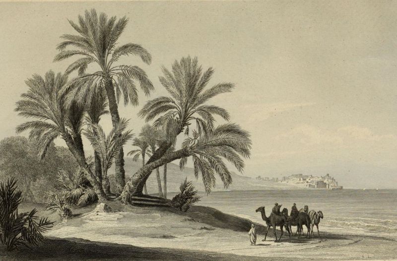 010. Jaffa