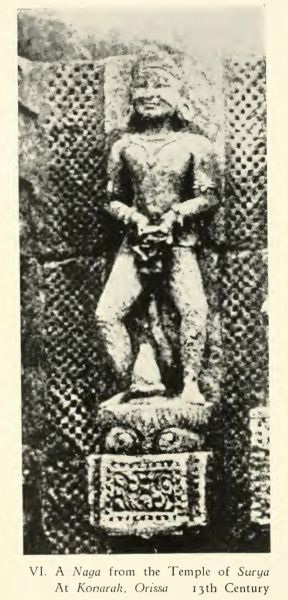 Kamasutra 6. A Naga from the Temple of Surya