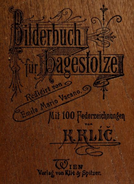 Bilderbuch für Hagestolze