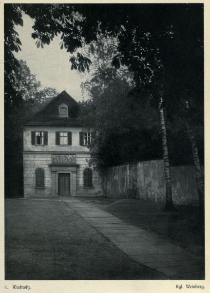 001 Wachwitz, Kgl. Weinberg