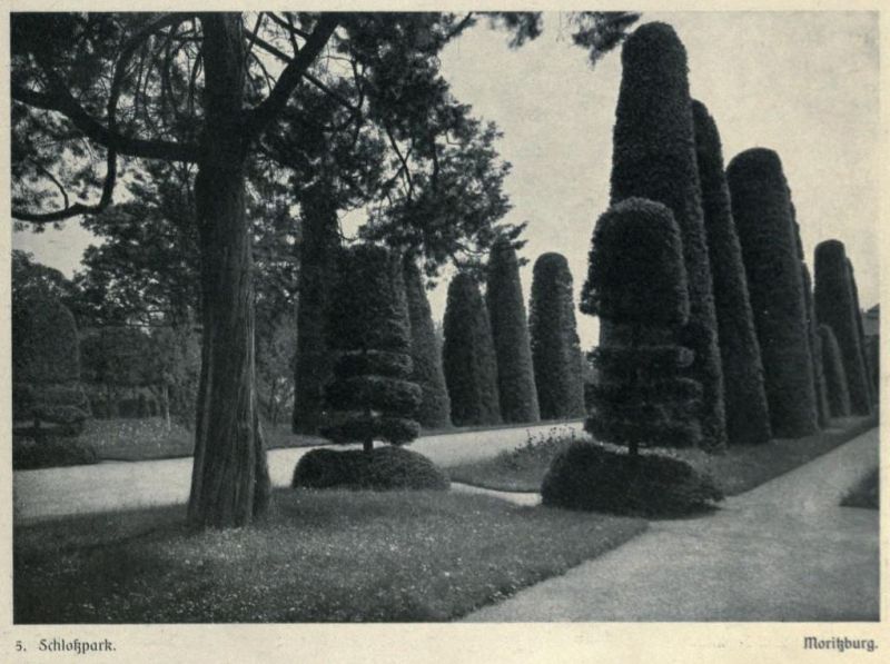 005 Moritzburg, Schlosspark
