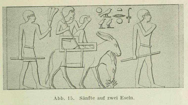 Ägypten 015 Sänfte auf zwei Eseln