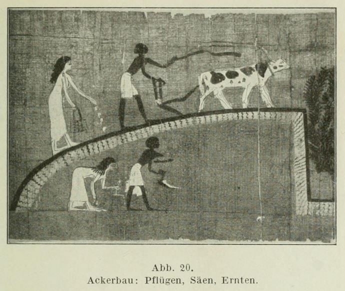 Ägypten 020 Ackerbau - Plügen, Säen, Ernten