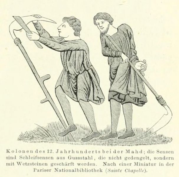 013 Kolonen des 12. Jahrhunderts bei der Mahd