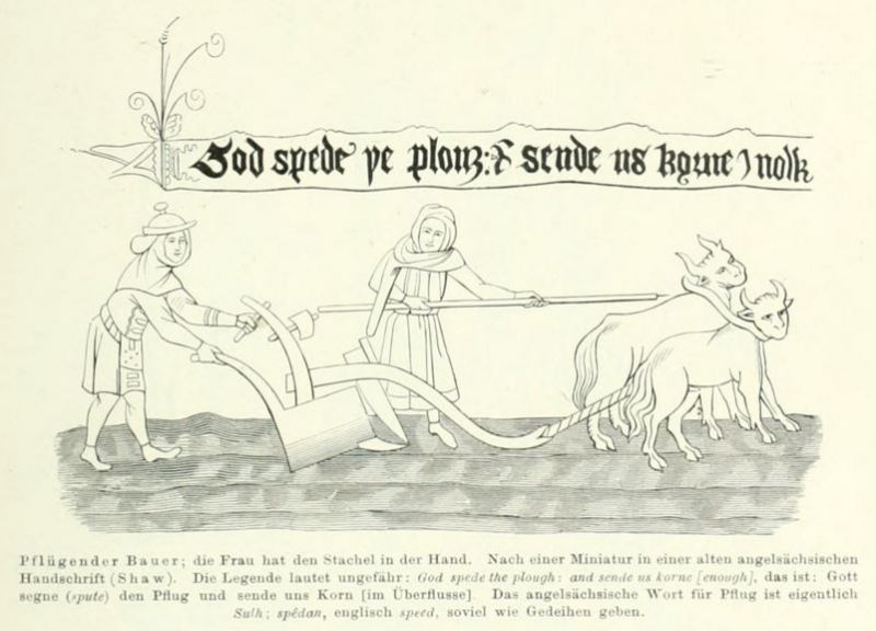 017 Pflügender Bauer