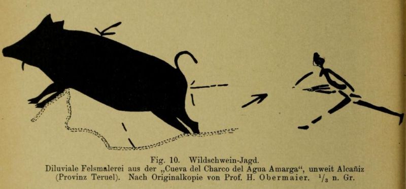 010 Wildschwein-Jagd
