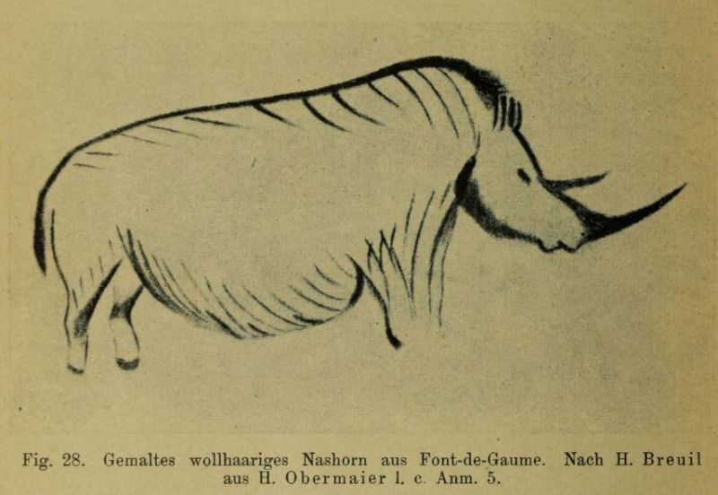 028 Gemaltes wollhaariges Nashorn