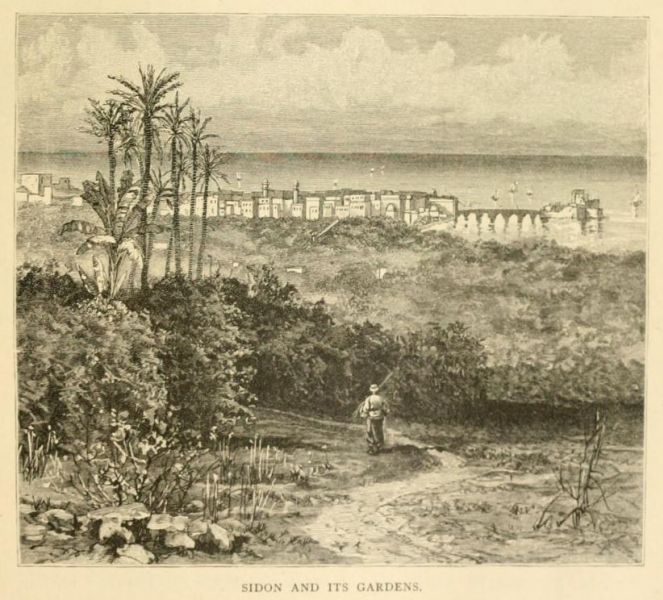 003 Sidon and its Gardens