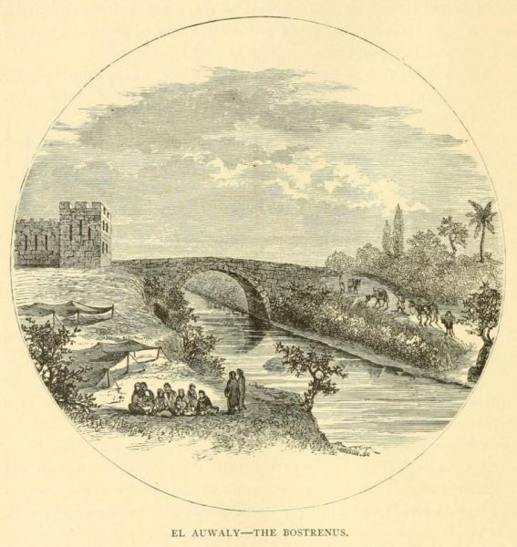 005 El Auwaly - The Bostrenus