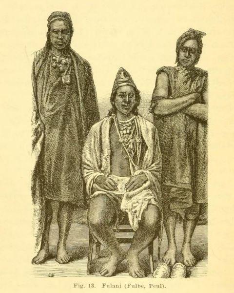 13. Fulani (Fulbe, Peul)
