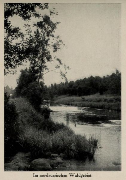 Russland 017. Im Nordrussischen Waldgebiet