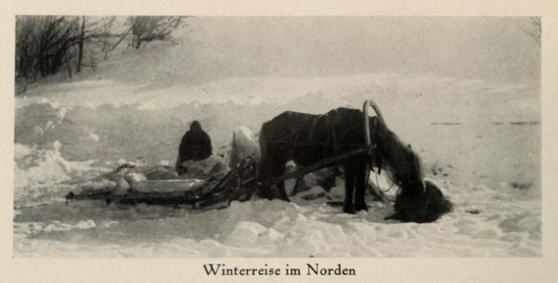 Russland 021. Winterreise im Norden