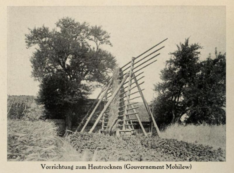 Russland 082. Vorrichtung zum Heutrocknen (Gouvernement Mohilew)