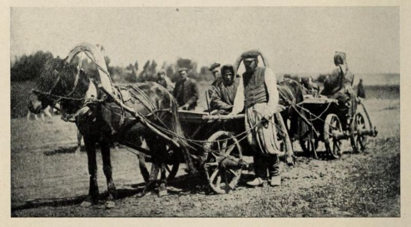 Russland 086. Weißrussische Bauern. Kastenwagen. Gouvernement Minsk