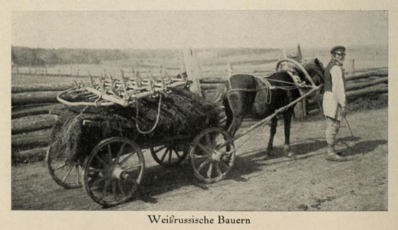 Russland 086. Weißrussische Bauern. Leiterwagen. Gouvernement Minsk