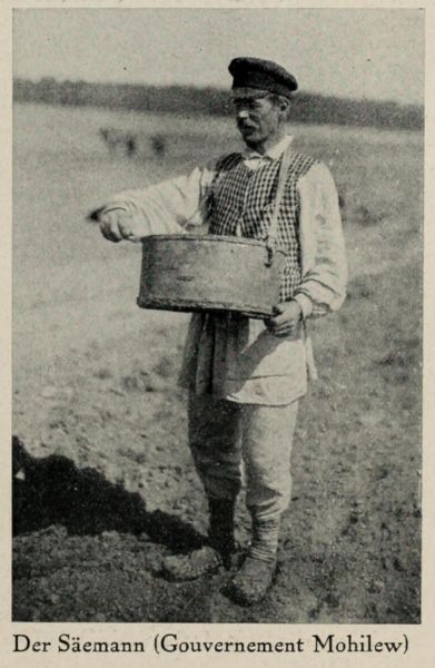 Russland 087. Bauer. Der Säemann (Gouvernement Mohilew)