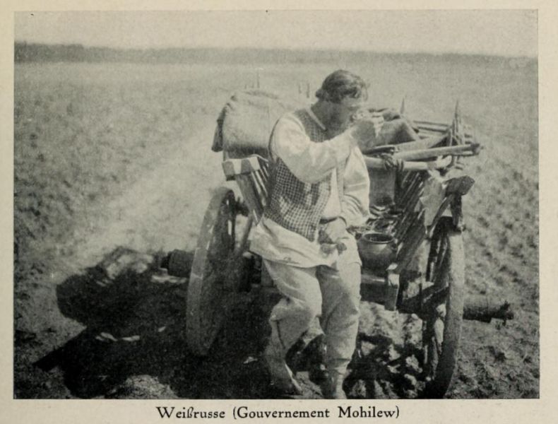 Russland 087. Bauer. Weißrusse (Gouvernement Mohilew)