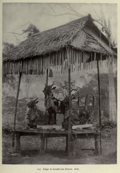 101. Särge in Gestalt von Stieren, Bali