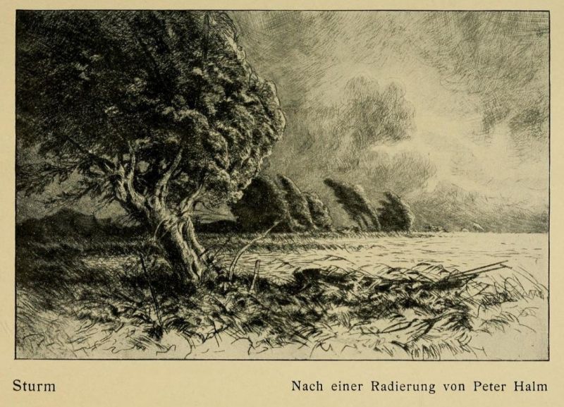 Bodensee Sturm