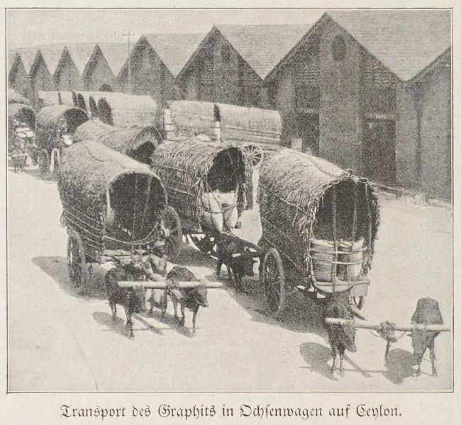 Ceylon, Transport des Graphits in Ochsenwagen